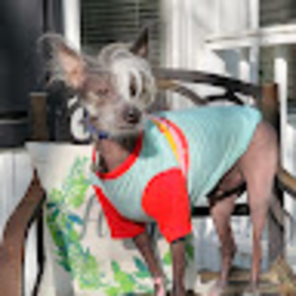 Meet your Posher, Nicol - Picture 1 of 1